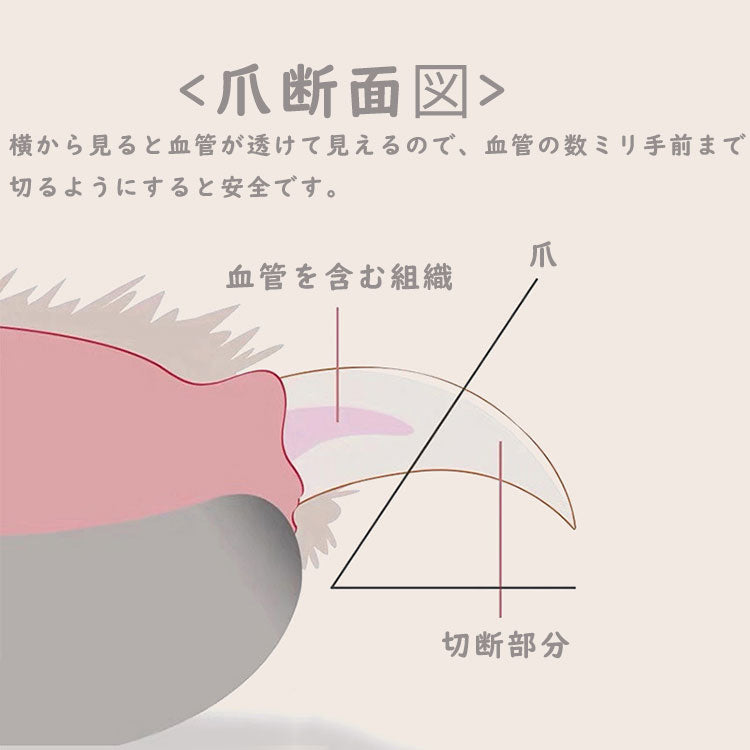 爪切り ペット ネイルトリマー ペット爪切り 犬用 猫用 つめ切り ペット用 爪やすり ネイルケア 爪トリマー 爪磨き ネコ ペット用品  ヤスリ 安全 はさみ 中小型犬 ギロチンタイプ 爪とぎ つめきり 深爪防止 小型犬爪グラインダー 爪トリマー