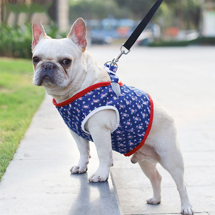 胴輪 ハーネス 犬用 小型犬 ペット ドッグ おしゃれ 中型犬 パピア 散歩 ペット用品 簡単装着 かわいい 大型犬 犬用ハーネス お出かけ 可愛い 犬具 犬用品 お散歩グッズ超小型犬 ソフトハーネス 犬のハーネス 首輪 ベスト 高齢犬 送料無料