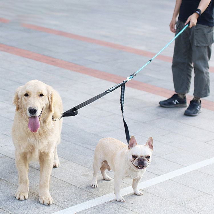 リード 2頭引き 犬用 多頭 小型犬 多頭飼い 絡まない おしゃれ ペット 中型犬 2頭引きリード 首輪 かわいい ドッグ 軽量 lサイズ リーシュ シンプル いぬ 犬用リード ポスト投函選択で送料無料 ブラック 大型犬 +超小型 小型犬用+ ペット用品