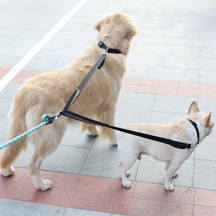 リード 2頭引き 犬用 多頭 小型犬 多頭飼い 絡まない おしゃれ ペット 中型犬 2頭引きリード 首輪 かわいい ドッグ 軽量 lサイズ リーシュ シンプル いぬ 犬用リード ポスト投函選択で送料無料 ブラック 大型犬 +超小型 小型犬用+ ペット用品