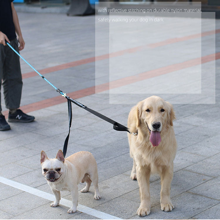 リード 2頭引き 犬用 多頭 小型犬 多頭飼い 絡まない おしゃれ ペット 中型犬 2頭引きリード 首輪 かわいい ドッグ 軽量 lサイズ リーシュ シンプル いぬ 犬用リード ポスト投函選択で送料無料 ブラック 大型犬 +超小型 小型犬用+ ペット用品