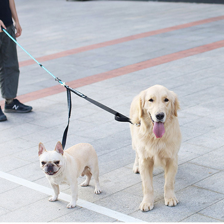 リード 2頭引き 犬用 多頭 小型犬 多頭飼い 絡まない おしゃれ ペット 中型犬 2頭引きリード 首輪 かわいい ドッグ 軽量 lサイズ リーシュ シンプル いぬ 犬用リード ポスト投函選択で送料無料 ブラック 大型犬 +超小型 小型犬用+ ペット用品