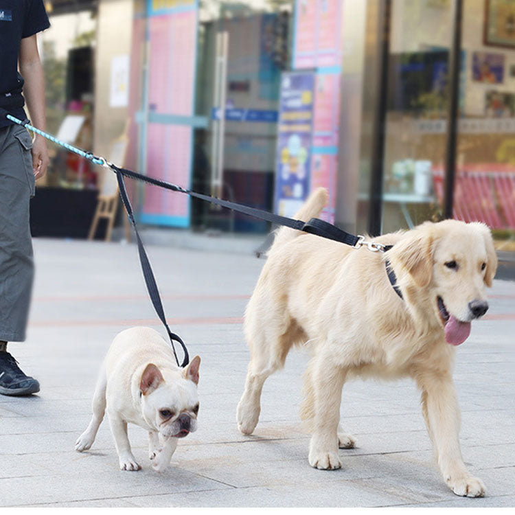 リード 2頭引き 犬用 多頭 小型犬 多頭飼い 絡まない おしゃれ ペット 中型犬 2頭引きリード 首輪 かわいい ドッグ 軽量 lサイズ リーシュ シンプル いぬ 犬用リード ポスト投函選択で送料無料 ブラック 大型犬 +超小型 小型犬用+ ペット用品