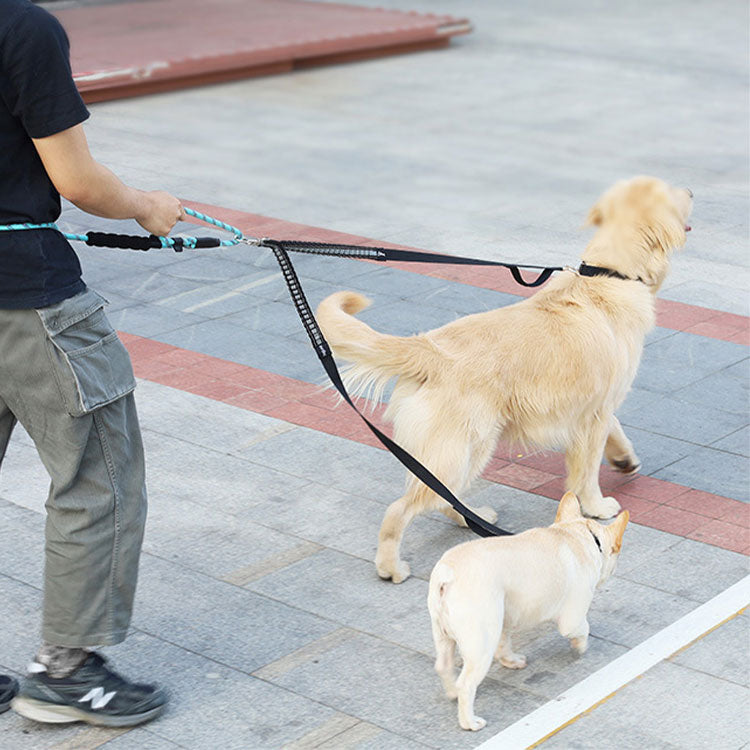 リード 2頭引き 犬用 多頭 小型犬 多頭飼い 絡まない おしゃれ ペット 中型犬 2頭引きリード 首輪 かわいい ドッグ 軽量 lサイズ リーシュ シンプル いぬ 犬用リード ポスト投函選択で送料無料 ブラック 大型犬 +超小型 小型犬用+ ペット用品