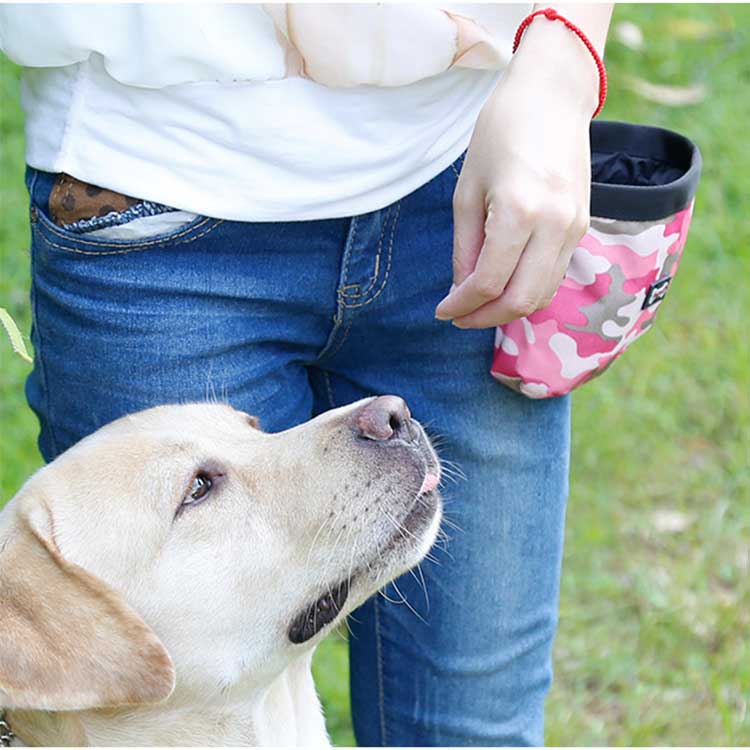 トリーツポーチ ペット 犬 おしゃれ ピンク 犬用 ドッグ バッグ グリーン 小型犬 outdoorコレクション トレーニングポーチ ペット用品 ポーチ 犬用品 リード いぬ かわいい おやつ入れ おやつポーチ ウエストポーチ 散歩 しつけ お散歩