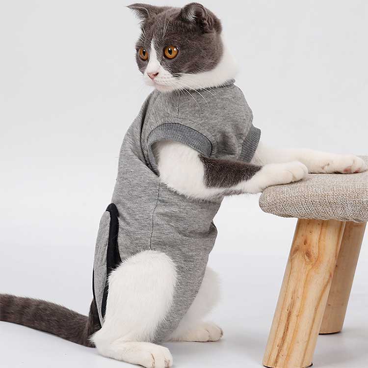 猫の服 ネコ 猫グッズ 綿質 術後ウェア 術後服 避妊 傷口保護 術後着 皮膚保護 介護服 保護服 術後 乳腺腫瘍 引っ掻き防止 猫用 傷舐め防止 ペット術後服 軽量 介護 ソフト 傷舐め 手術 キャットウェア 傷口 舐めない 猫服 やわらか 送料無料